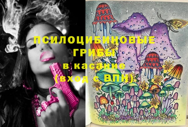 ПСИЛОЦИБИНОВЫЕ ГРИБЫ Алексин