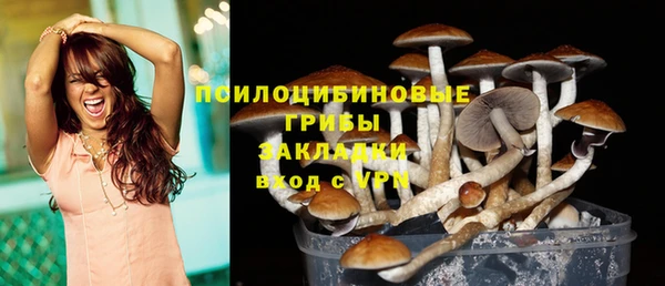 2c-b Алексеевка
